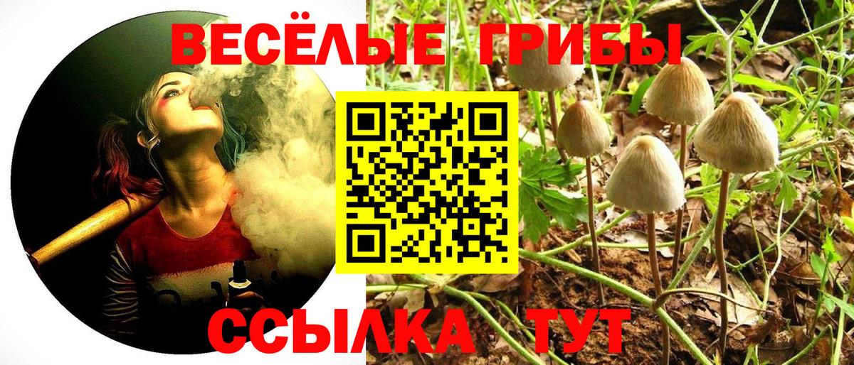 Галлюциногенные грибы ЛСД Калининград