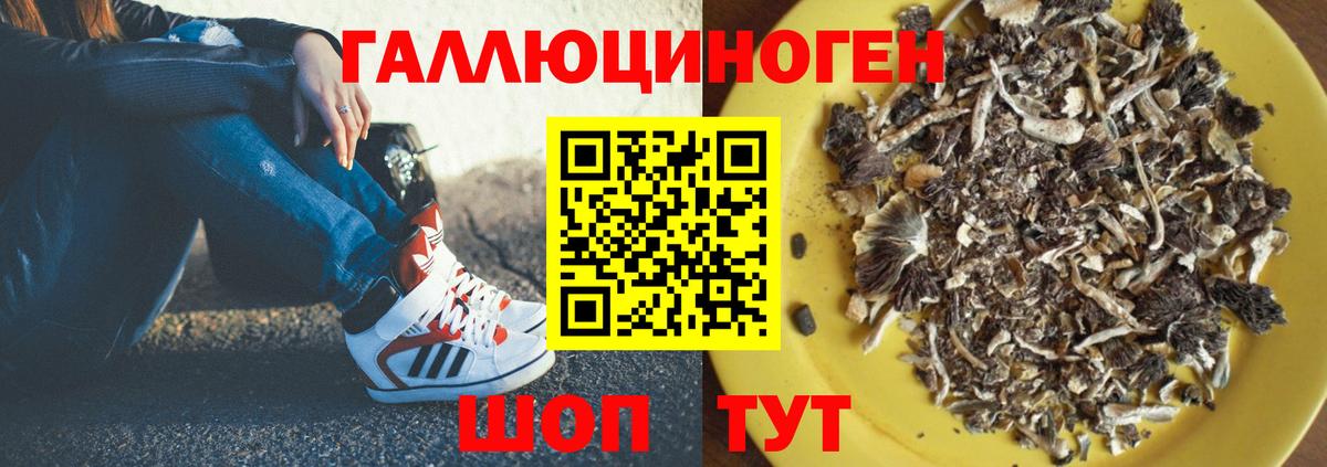 как найти закладки  Вход с VPN  Калининград  Псилоцибиновые грибы Cubensis 
