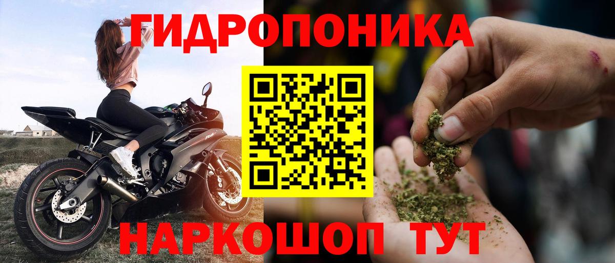 Шишки марихуана OG Kush  Бошки марихуана Ganja  Каннабис Ganja  Вход с VPN  Калининград 
